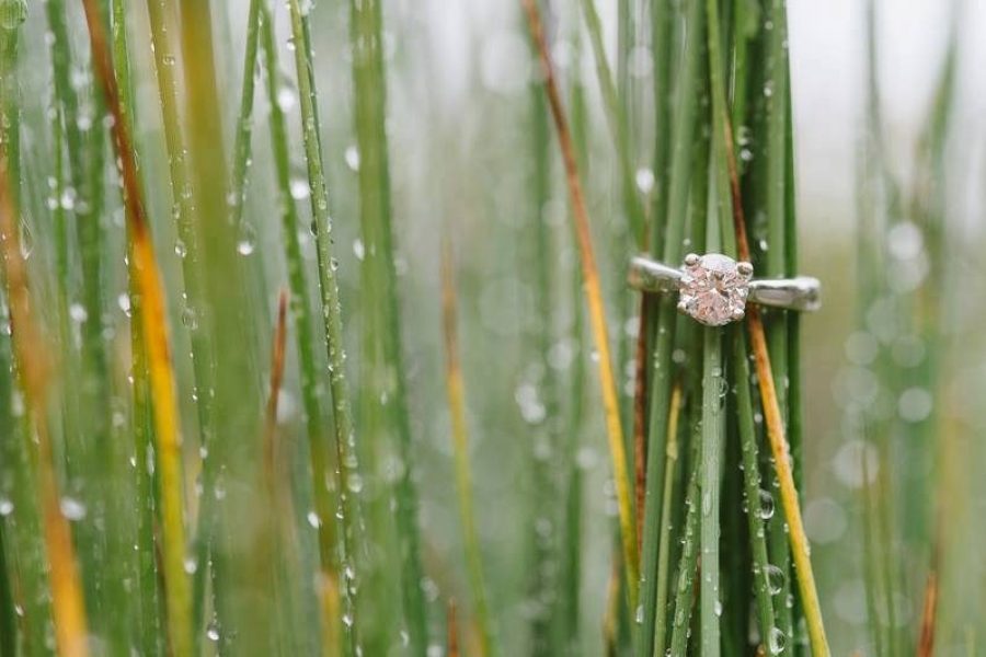 Wedding ring on stalks of grass